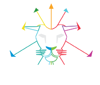 shay dayan logo